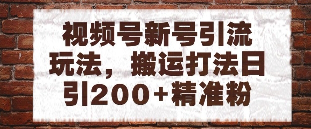 视频号新号引流玩法，搬运打法日引200+精准粉，可矩阵放大【揭秘】-网创人之家