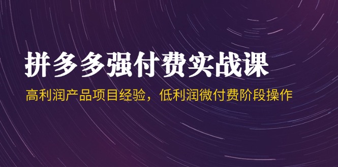 拼多多强付费实战课-44期，高利润产品项目经验，低利润微付费阶段操作-网创人之家